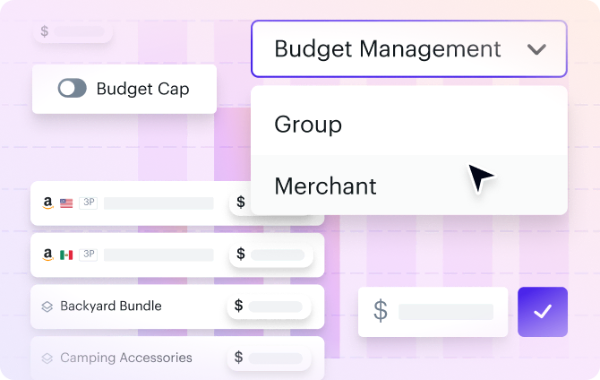 Teikametrics Budget Pacing